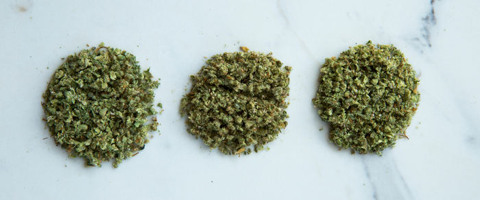 What Exactly is “Shake” Weed?