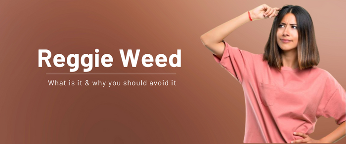 Reggie Weed: What It Is & Why You Should Avoid It